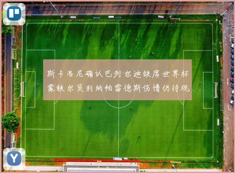 斯卡洛尼确认巴列尔迪缺席世界杯蒙铁尔莫利纳帕雷德斯伤情仍待观察