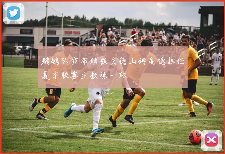 鹈鹕队宣布助教戈德山姆高德担任夏季联赛主教练一职