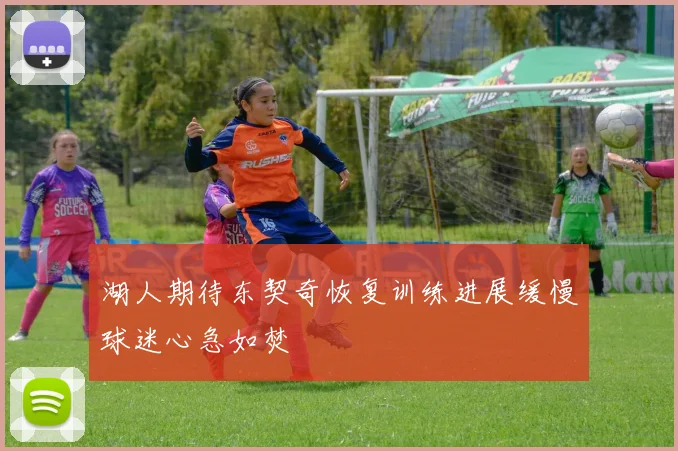 湖人期待东契奇恢复训练进展缓慢球迷心急如焚